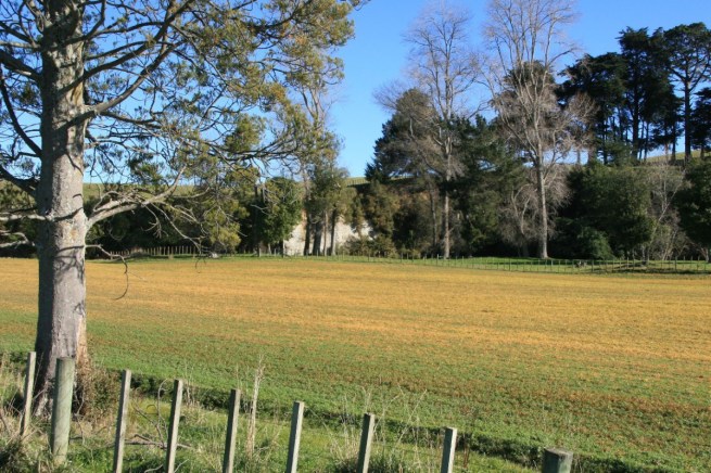 Field Sprayed with Herbicide