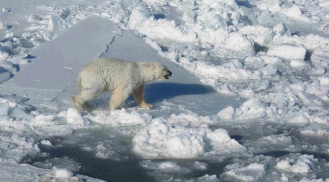 1959 Military Documentary Reveals Plan to Melt Arctic Ice