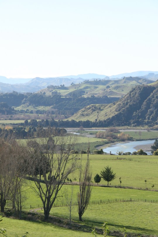 rangitikei river 3