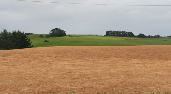 Dr Krüger: Glyphosate is Toxic to Dairy Cows