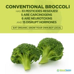 12108015_1072499886127975_7178267432977042111_n