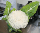 Cauli, straight from the garden