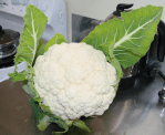 Cauli, straight from the garden