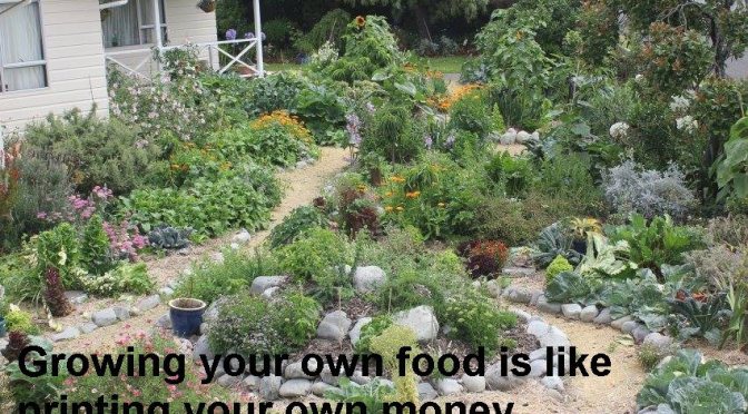 “There’s something spiritual about touching the soil” – on urban farming and why much of the world starves