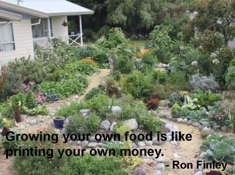 Vanessa's Edible Garden