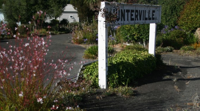 Check out Marjie Brickley’s garden