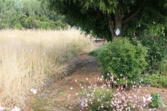 The patch on the left is how this area used to look