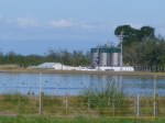 Leachate is dumped into Marton's WWTP in unknown quantities under a 'gentleman's agreement', regularly exceeding consent levels