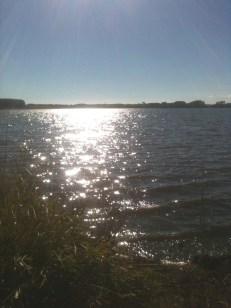 Lake Horowhenua, Levin, NZ