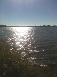 Lake Horowhenua, Levin, NZ