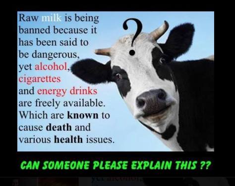 11811463_436964599845692_538422940604897356_n