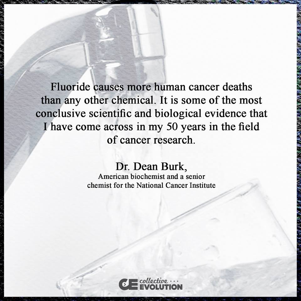 12079437_10153628597158908_6709514012414630446_n