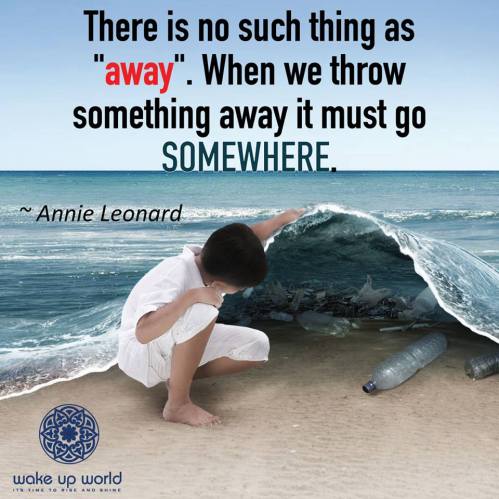 12208461_980400838672155_1478072456670385983_n