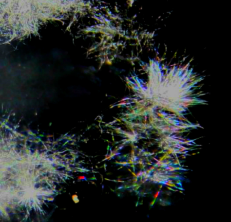 Desaturated2CopyofDec2015127