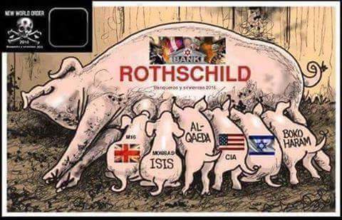 12814253_200596976975239_4535873280843638440_n