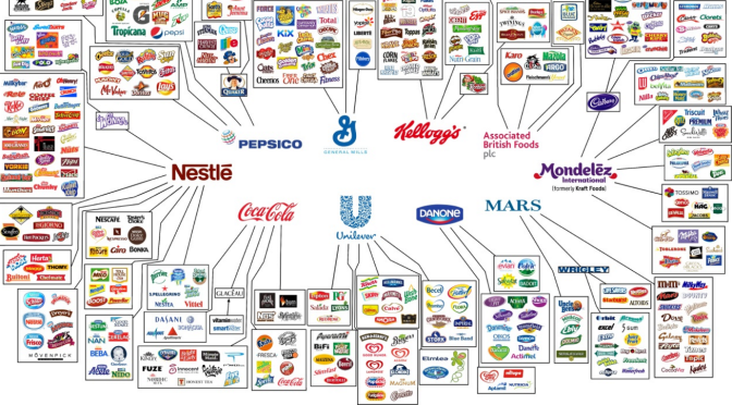 Top multinationals pay almost no tax in New Zealand