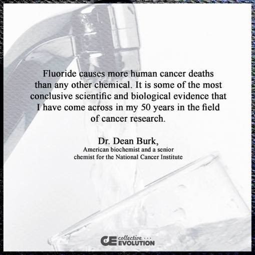 12079437_10153628597158908_6709514012414630446_n