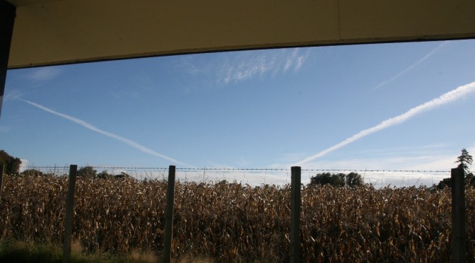 Prince speaking on chemtrails … ‘manganese, lead …’  blatant biowarfare