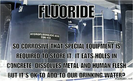 11880405_1132786440069967_8453420254196893664_n