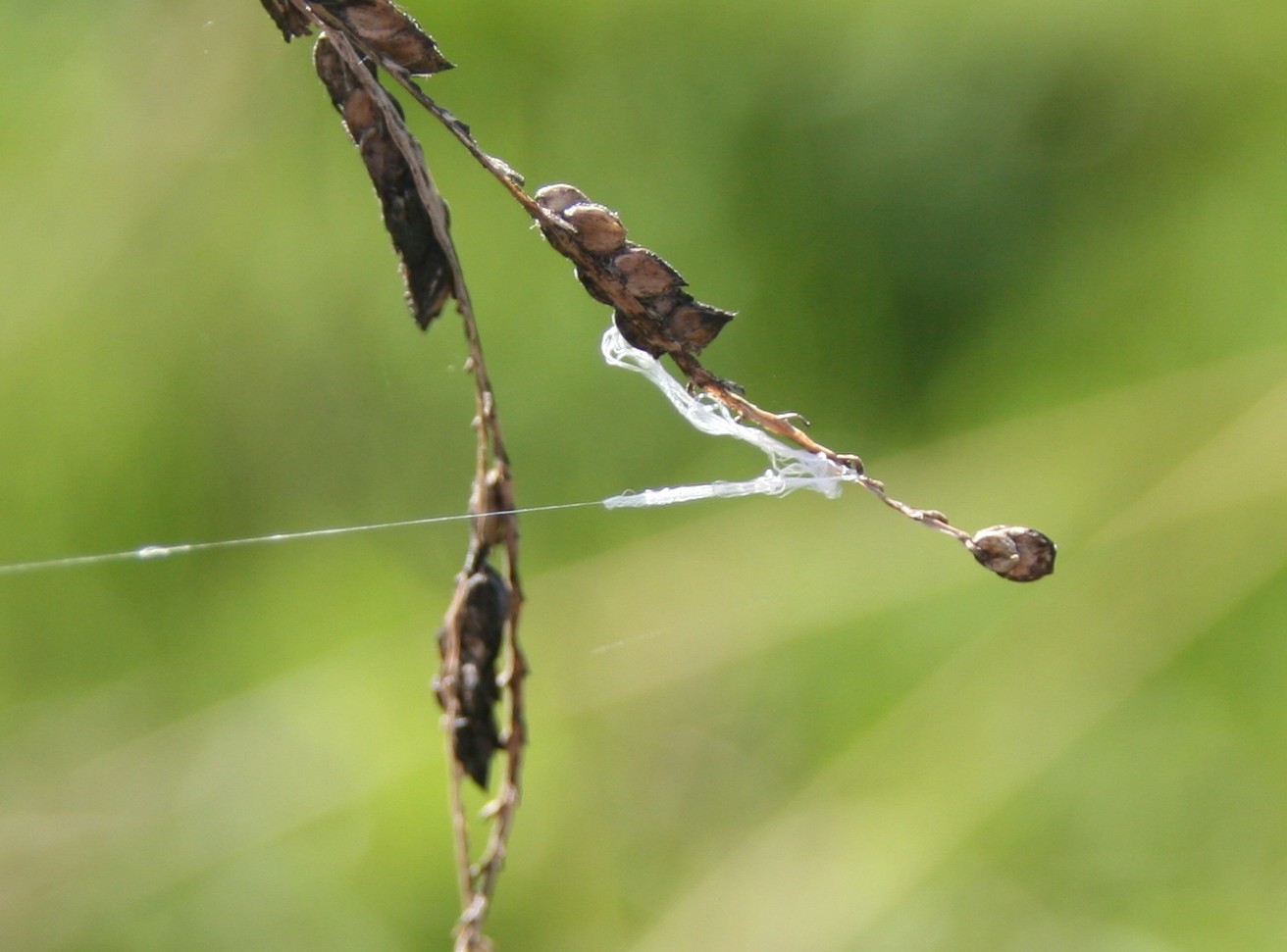 2Copy of April 2015 455