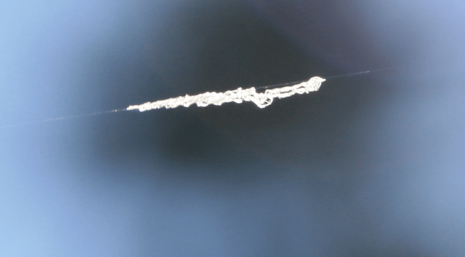 Mysterious white fibrous substance seen falling from Rangitikei Skies