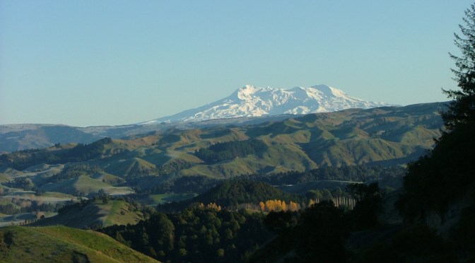 Wind Farms: Little People vs Corporate Power in the Central North Island
