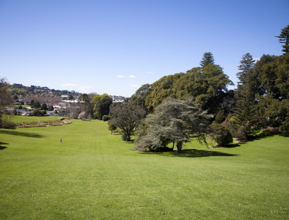 whats-happening-at-monte-cecilia-park-04