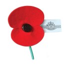 Copy of poppy_e345_Master