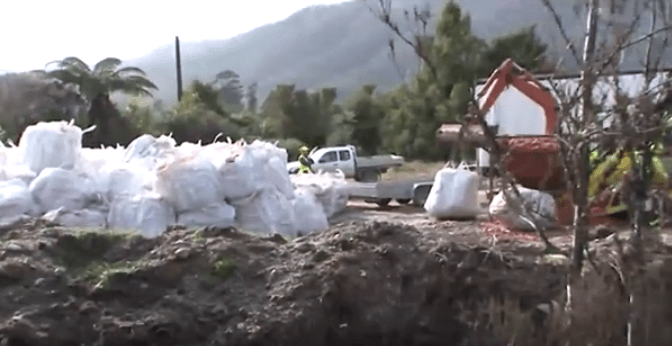 OIA request reveals 89 Dead Kiwi in 1080 treated Tongariro Forest – and not one was tested by DOC for 1080 poisoning – Press Release from Graf Brothers