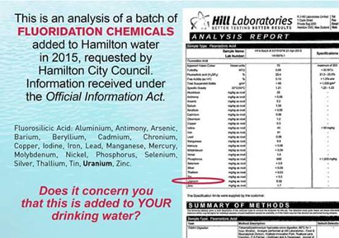 14316917_10202235441964720_5705045447557577595_n