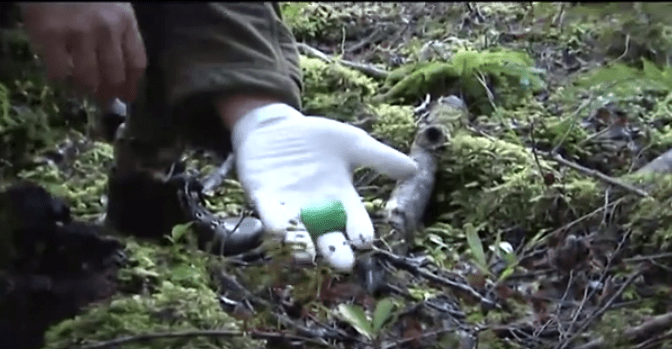 The Hunter’s Death in 1966 From 1080 that DOC Wouldn’t Acknowledge