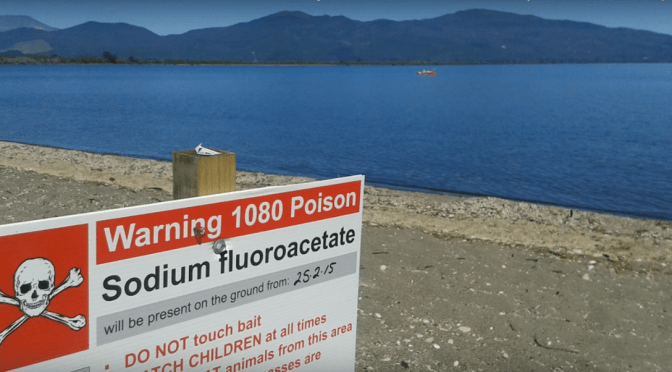 The Startling Truth: “No known epidemiological studies for potential adverse health effects of 1080 on humans” … and yet DOC continues to drop it into our waterways