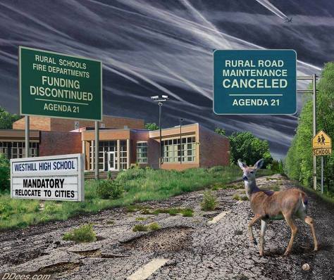 14141654_320565634955415_6108930377876745007_n