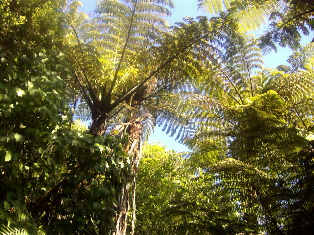 scenery-ohope-etc-19-3-07-022