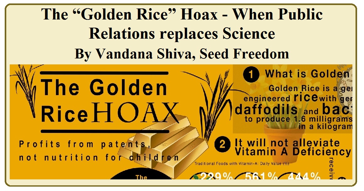 The “Golden Rice” Hoax’ - When Public Relations replaces Science by Vandana Shiva (Seed Freedom, republished in blog)