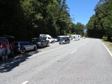 car park at blue pools makarora nz 23.2.17 not deterring tourists evidence.jpg