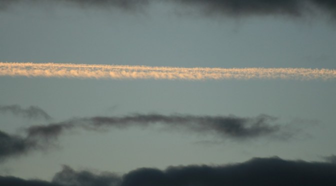 What in the World Are They Spraying? (from the aircraft that is)