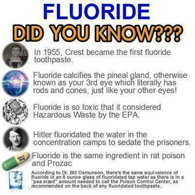 10151182_907340879309628_6727383123993566759_n