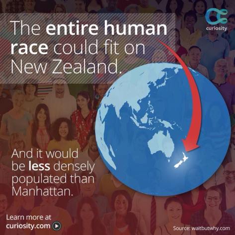 11870734_435079303342925_5576600555801738203_n