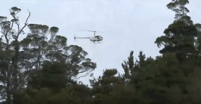 Mt Pirongia 1080 Poison Drop Breaches Manufacturer’s Warning