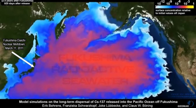 All Fish from Pacific Tested Positive for Fukushima