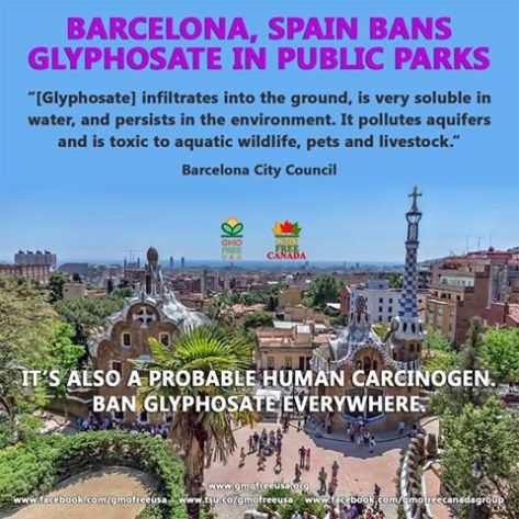 1618660_1129252920448503_9057225621606318474_n