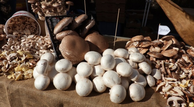 5 Health Benefits of Mushrooms You May not be Aware Of