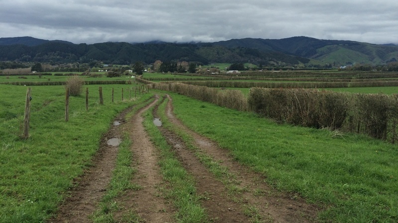 nJfAdkMSyfXwoFB-800x450-noPad