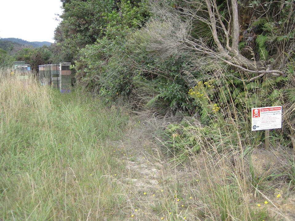 Collingwood. carol.jpg