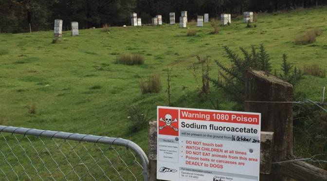 1080 & Green honeycombs! … or ‘how to destroy our export base’