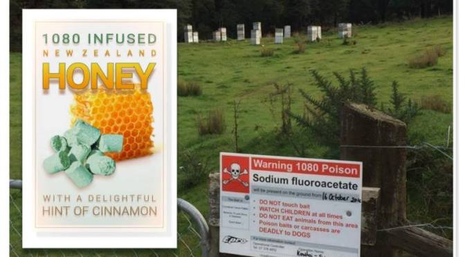 Hungry Bees 1080 Poison Risk to NZ Honey Says DoC