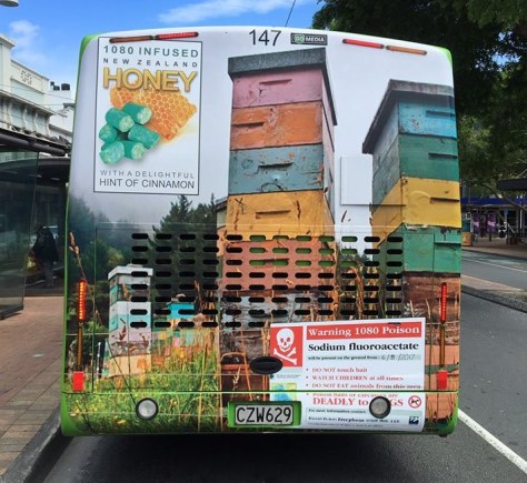 Copy of 23172810_2013478095599173_3030130981011950940_n.jpg