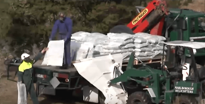 The cat’s out of the bag in NZ with 1080 – from a BSc