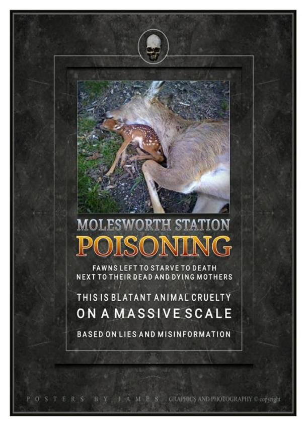 25152120_2029056524041330_2917709887380273685_n